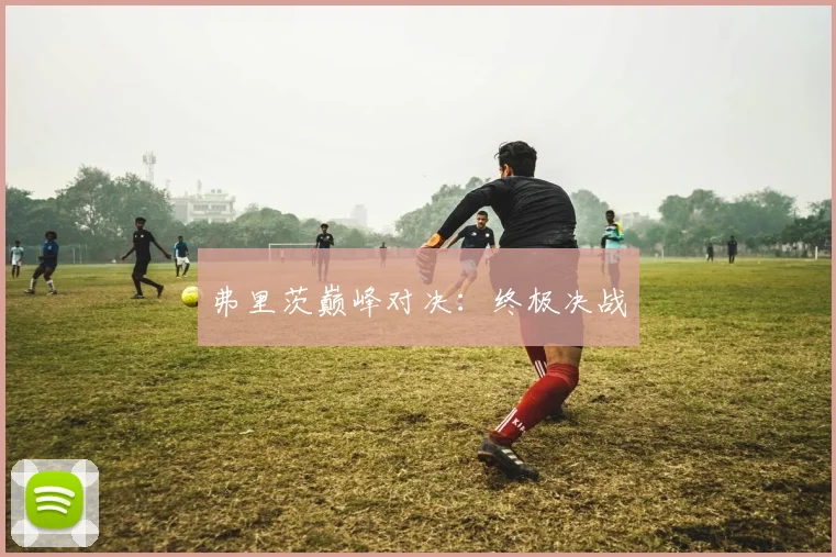 弗里茨巅峰对决：终极决战