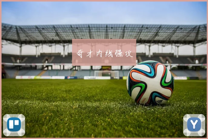奇才内线强攻