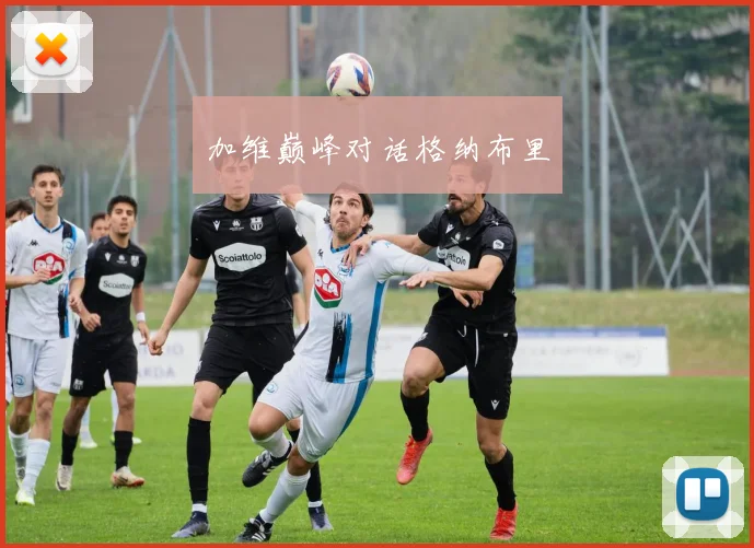 加维巅峰对话格纳布里