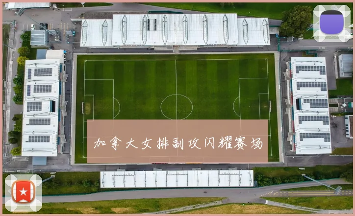 加拿大女排副攻闪耀赛场