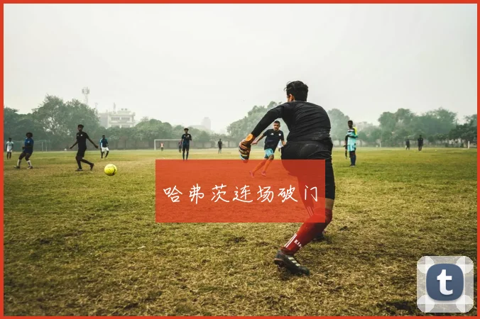 哈弗茨连场破门