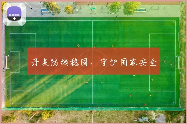 丹麦防线稳固，守护国家安全