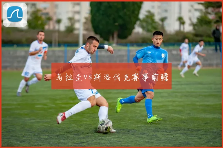 乌拉圭vs斯洛伐克赛事前瞻